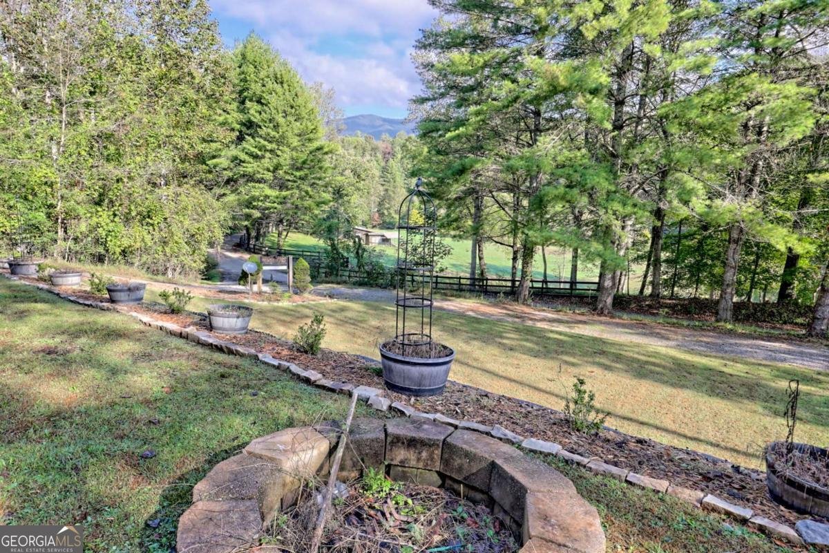 206 Peckerwood Road Hayesville - 3