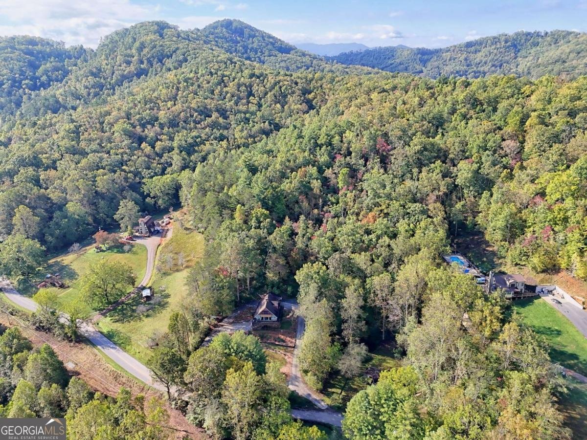 206 Peckerwood Road Hayesville - 7