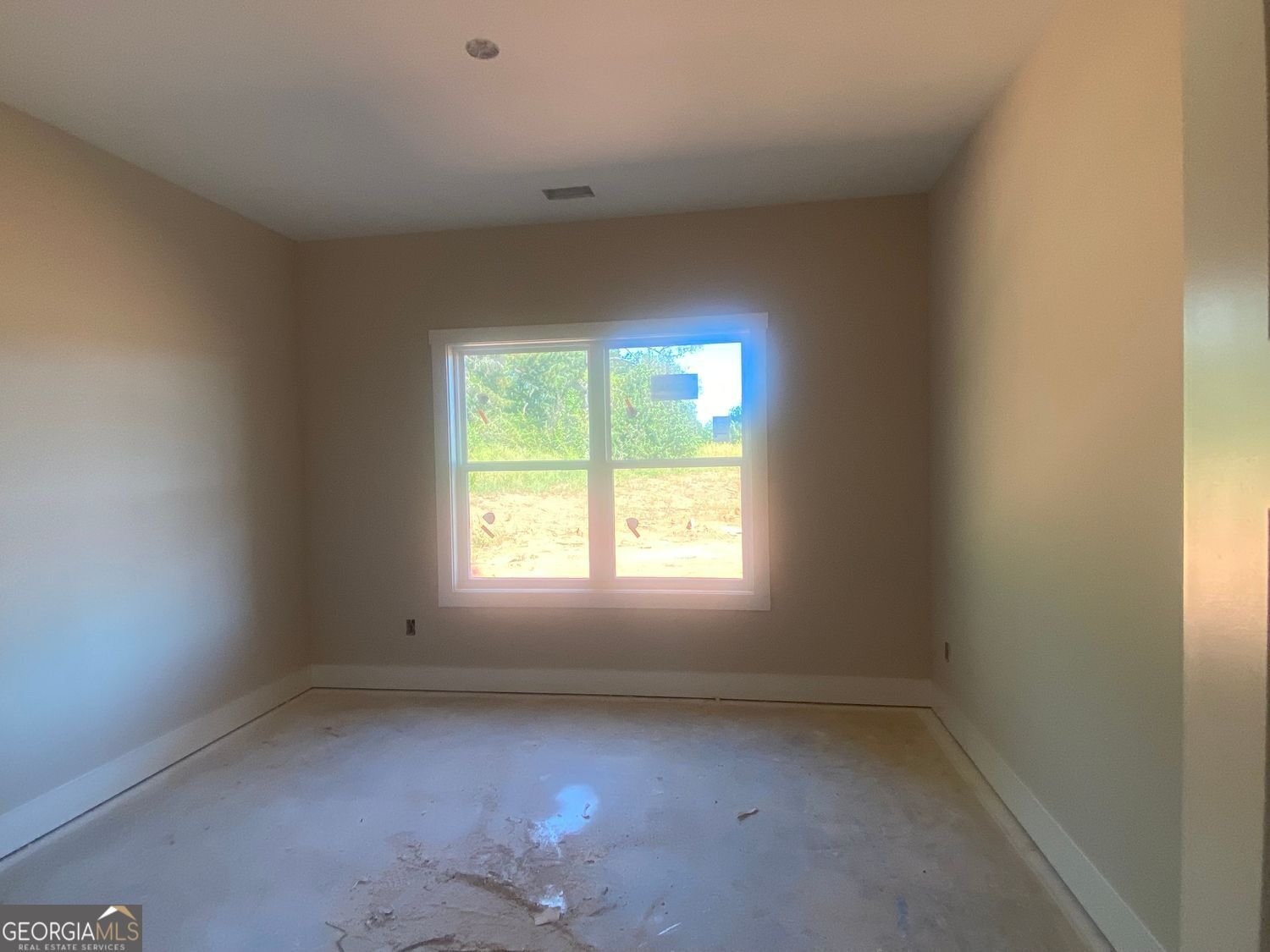 275 Boxankle Road Forsyth - 14
