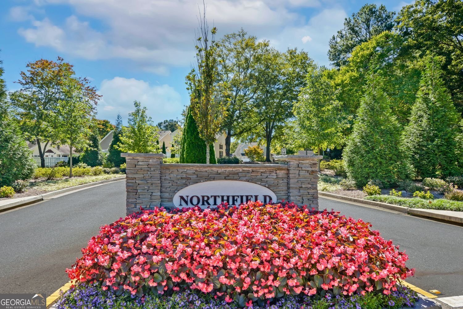 116 Emily Lane Alpharetta - 33