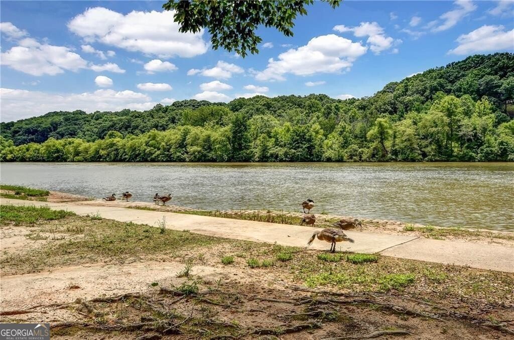 110 River Ridge Lane Roswell - 67