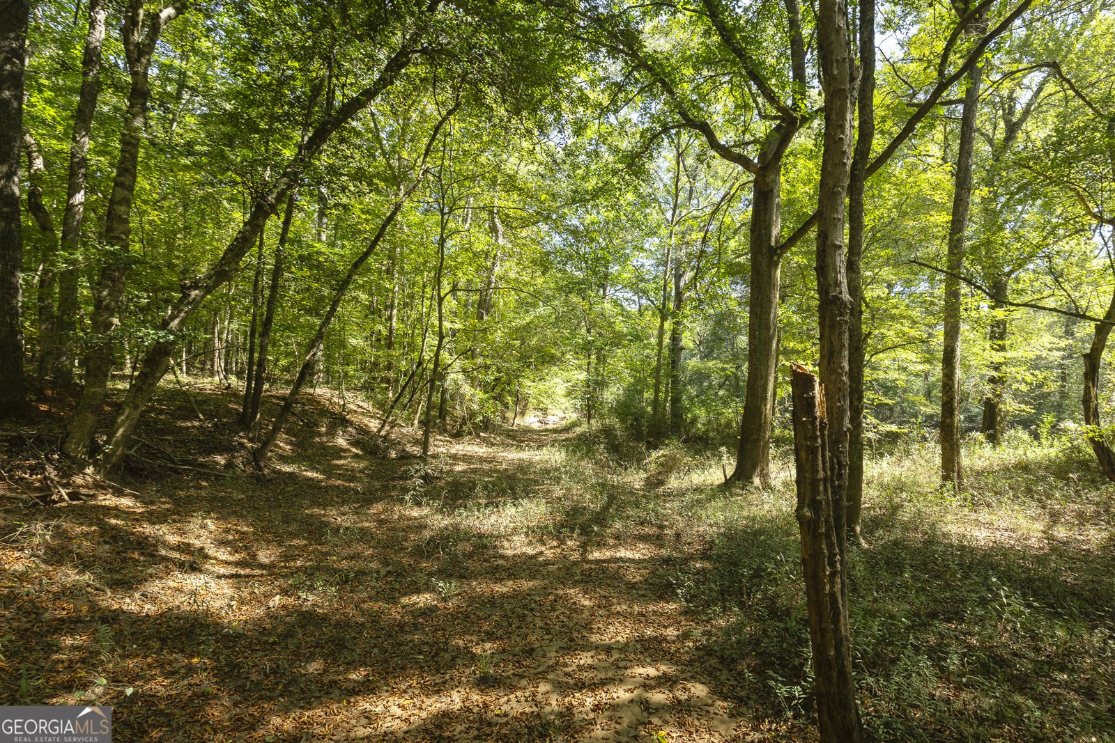 795 Alexander Road Gay - 52