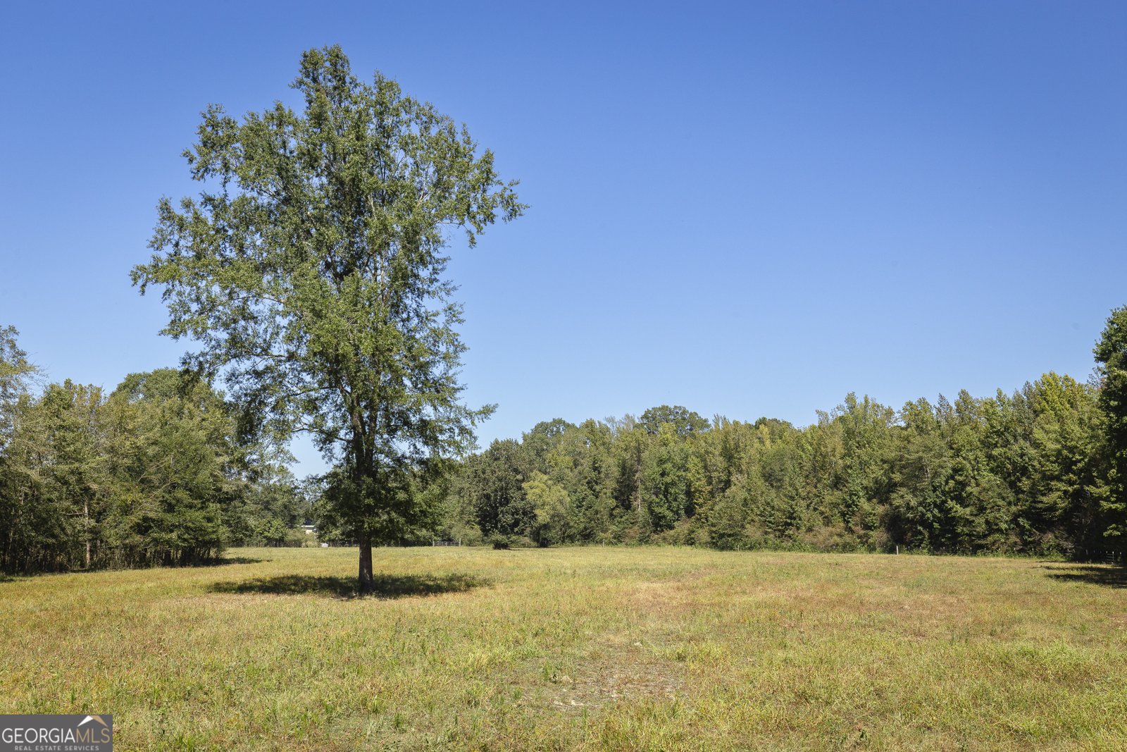 795 Alexander Road Gay - 56