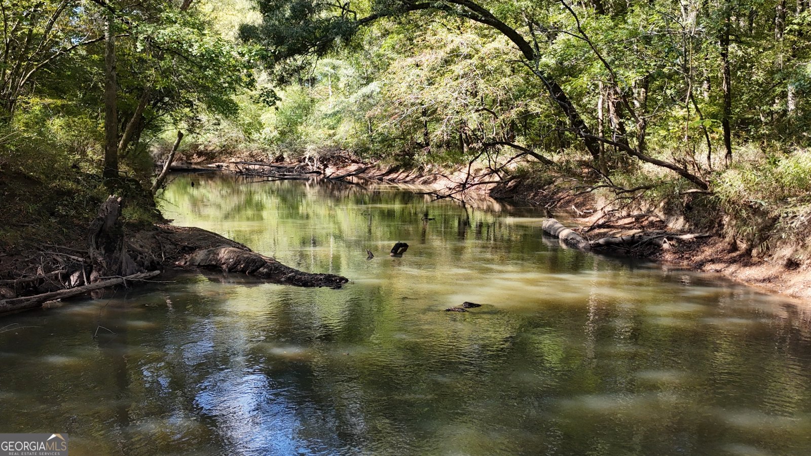 795 Alexander Road Gay - 9