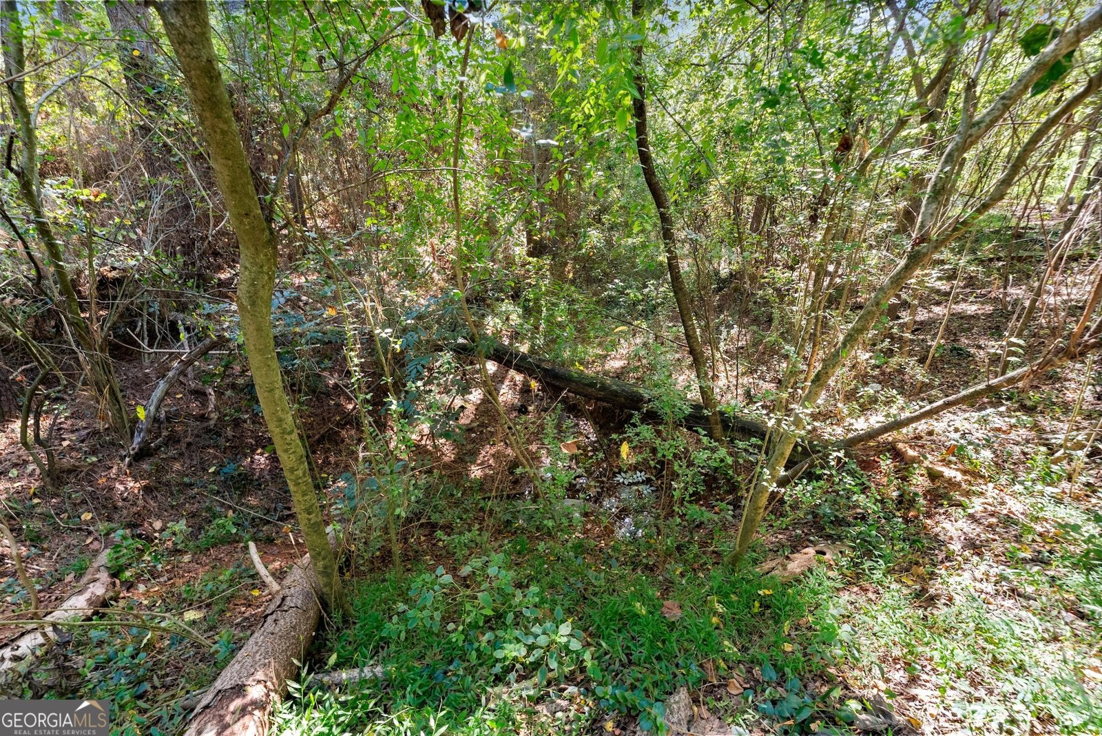 7540 County Line Road Lula - 38