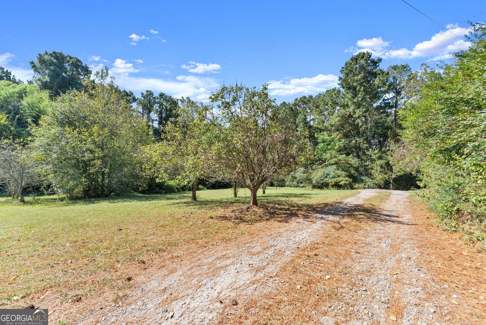 7540 County Line Road Lula - 39