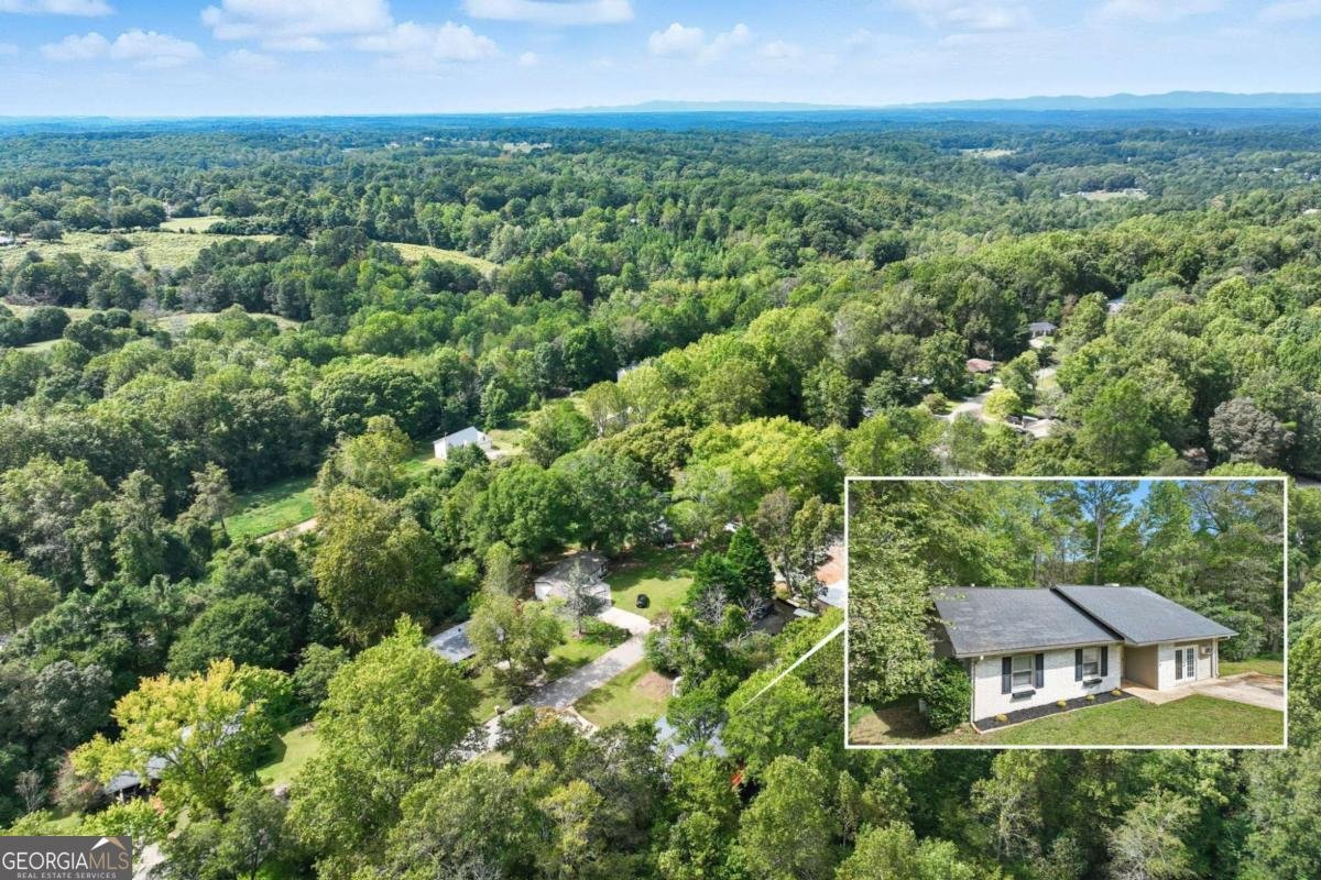 4114 Belvedere Drive Gainesville - 29