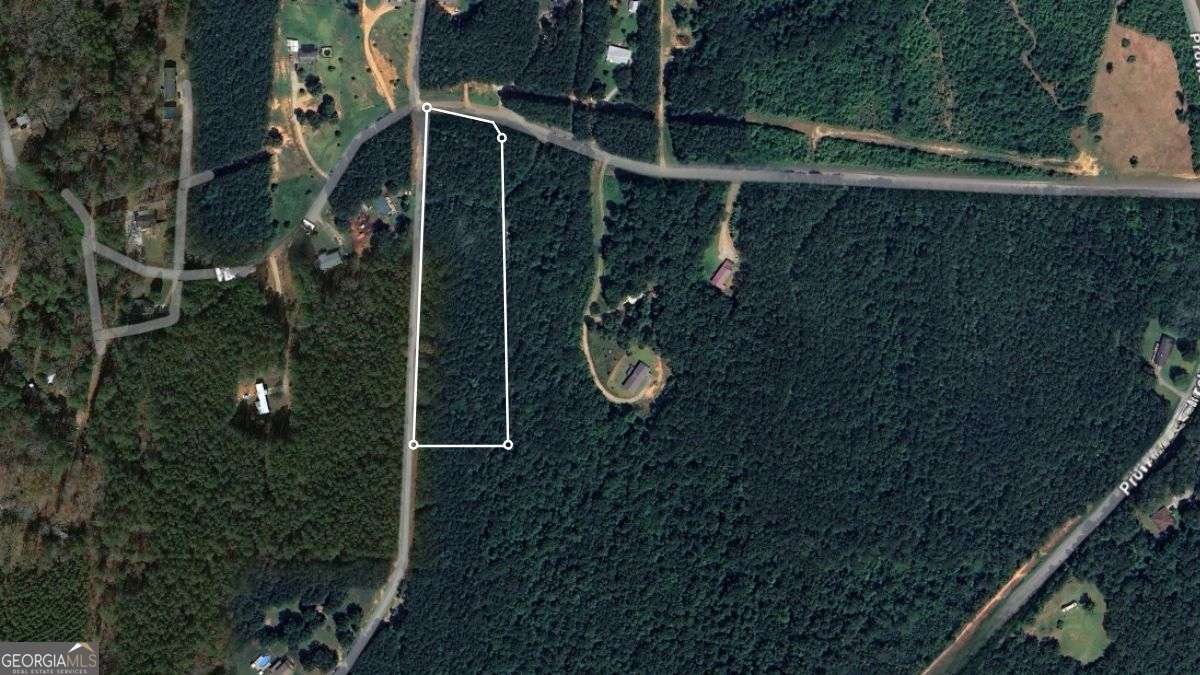 0 Williamson Road Tallapoosa - 2