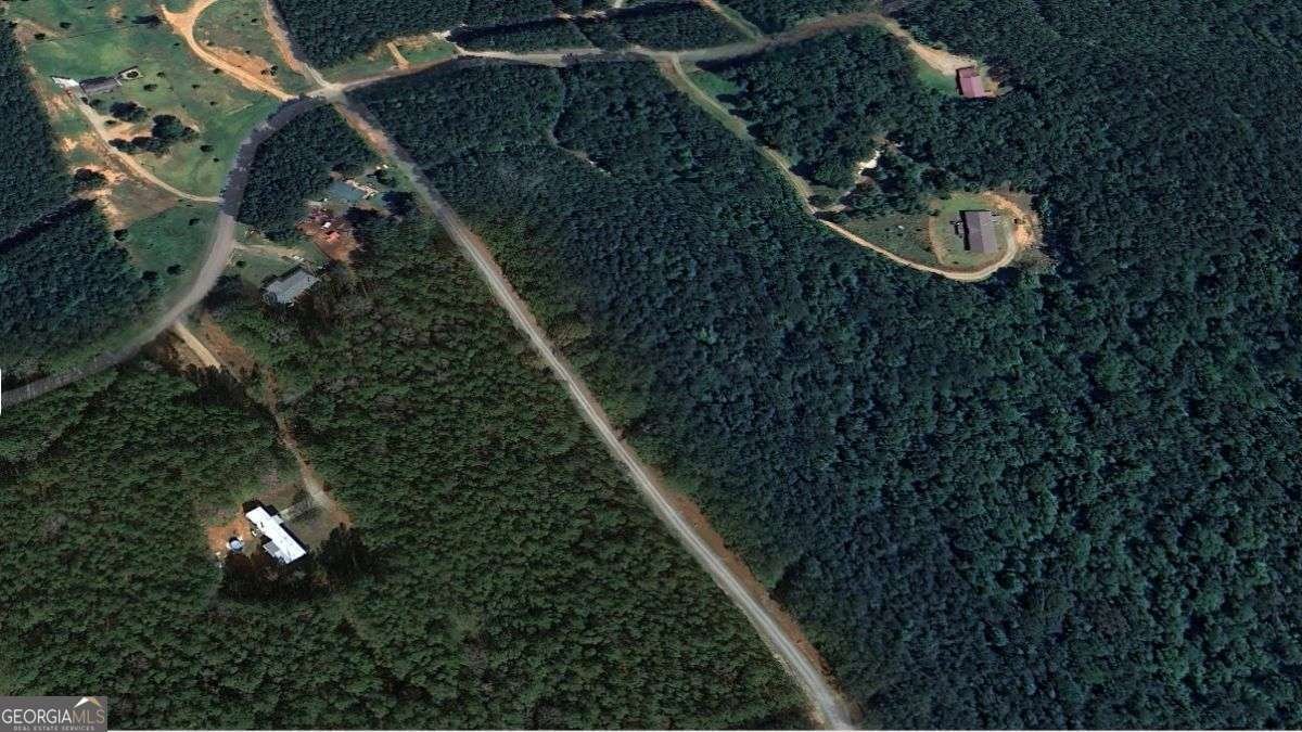 0 Williamson Road Tallapoosa - 3