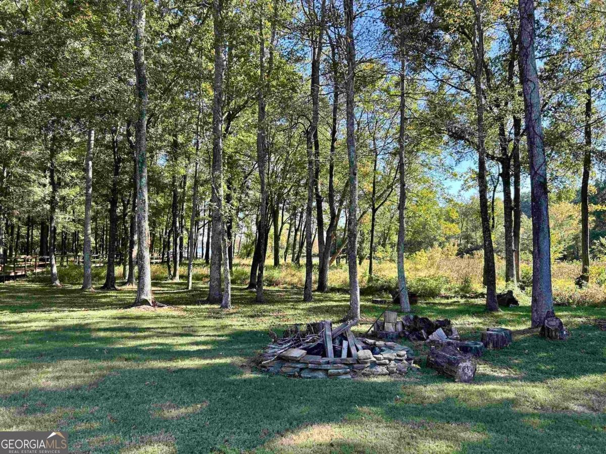 171-H Farriers Lane Eatonton - 5