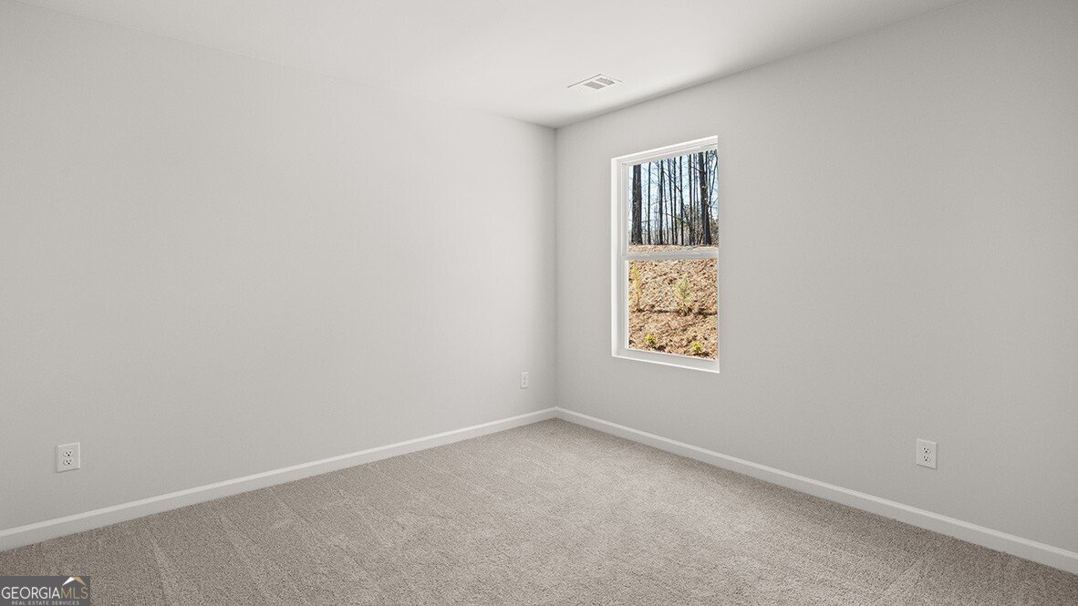137 Landsdowne Way Cartersville - 26