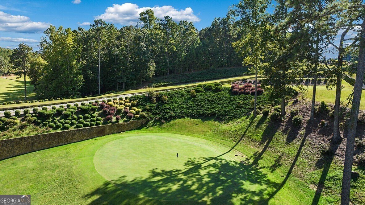 137 Landsdowne Way Cartersville - 62