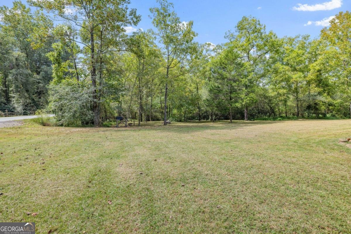 385 Amys Road Clarkesville - 36