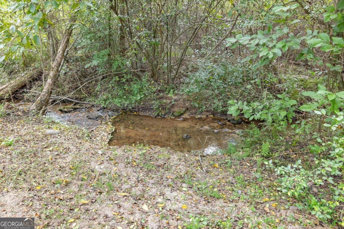 385 Amys Road Clarkesville - 43