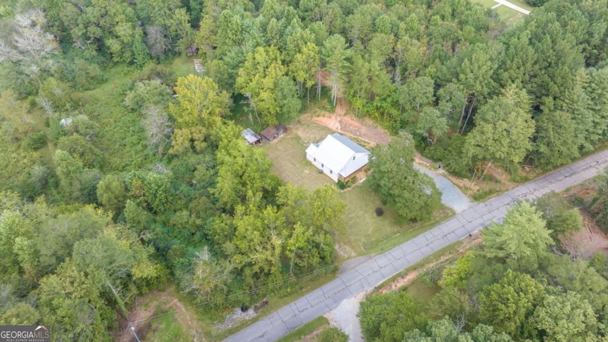385 Amys Road Clarkesville - 48
