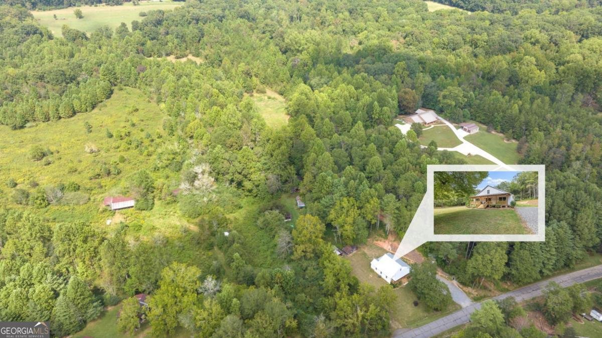385 Amys Road Clarkesville - 55