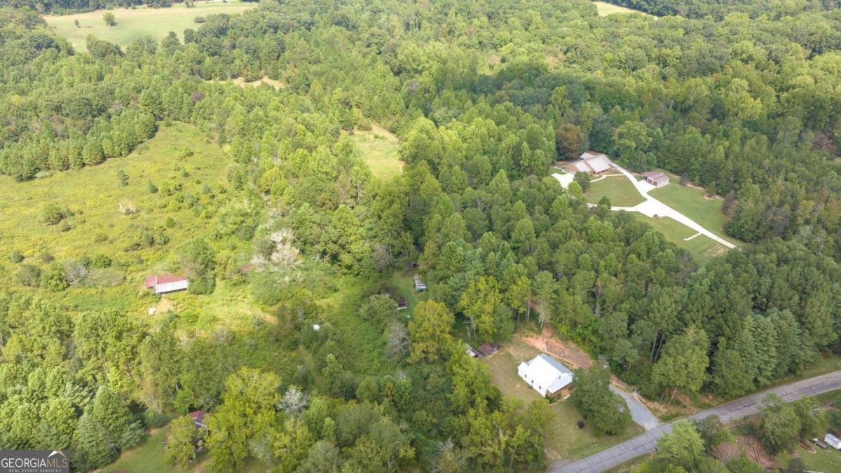 385 Amys Road Clarkesville - 57