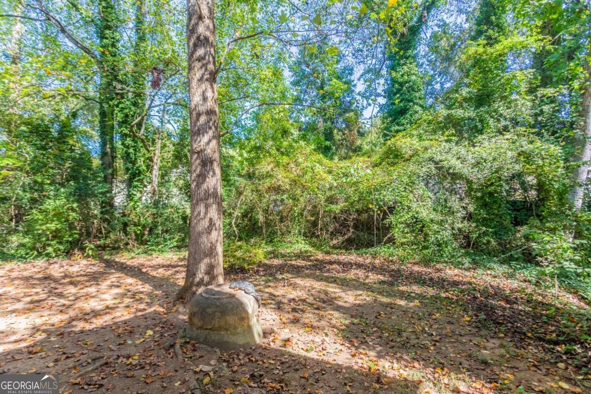 6202 Saint Christophers Court Lithonia - Photo 31