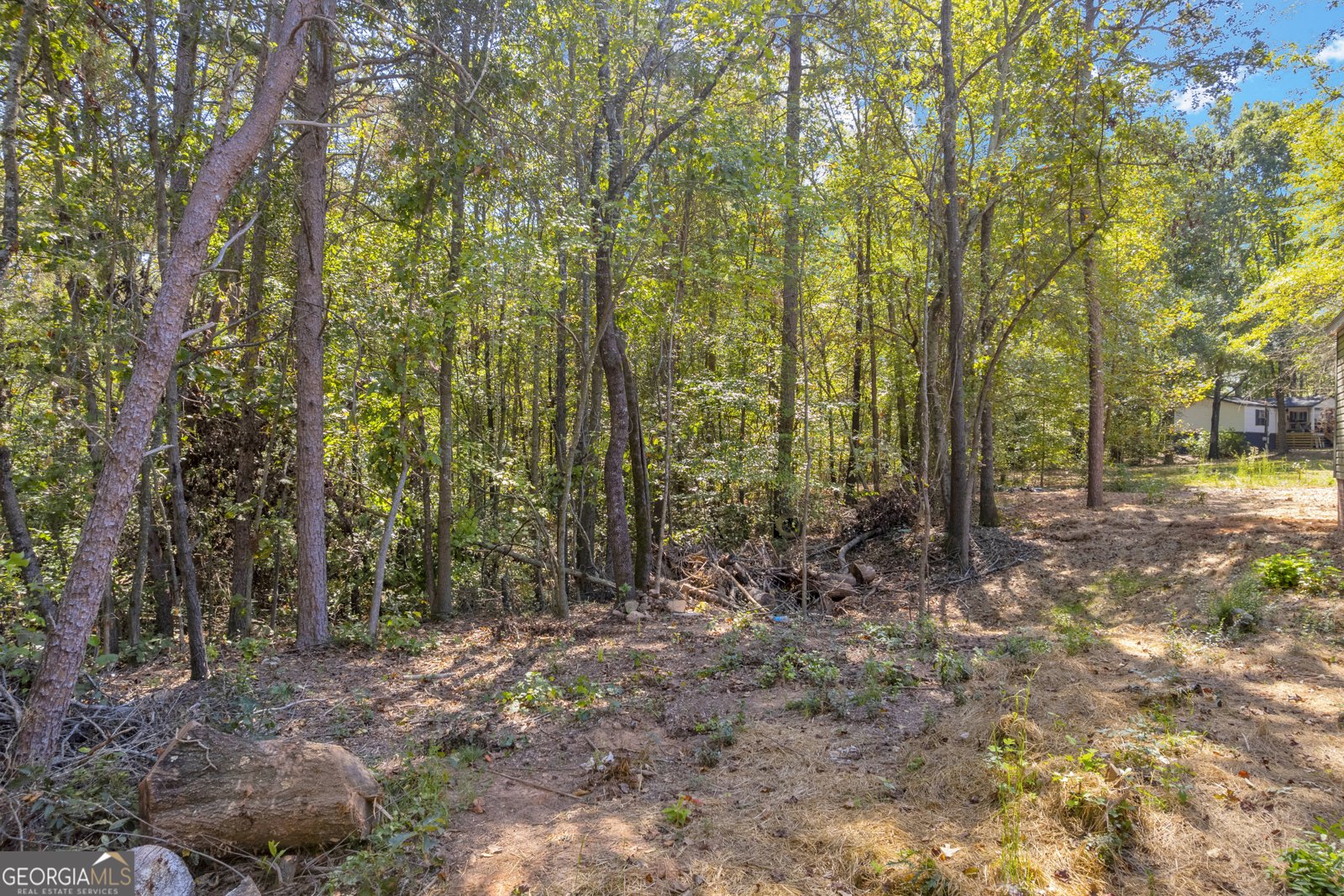 596 Pinetree Circle Maysville - 37