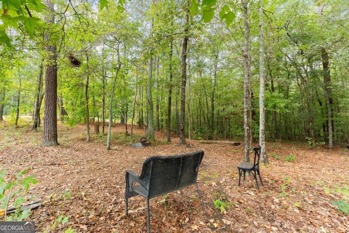 1235 Fairwinds Drive Loganville - 39