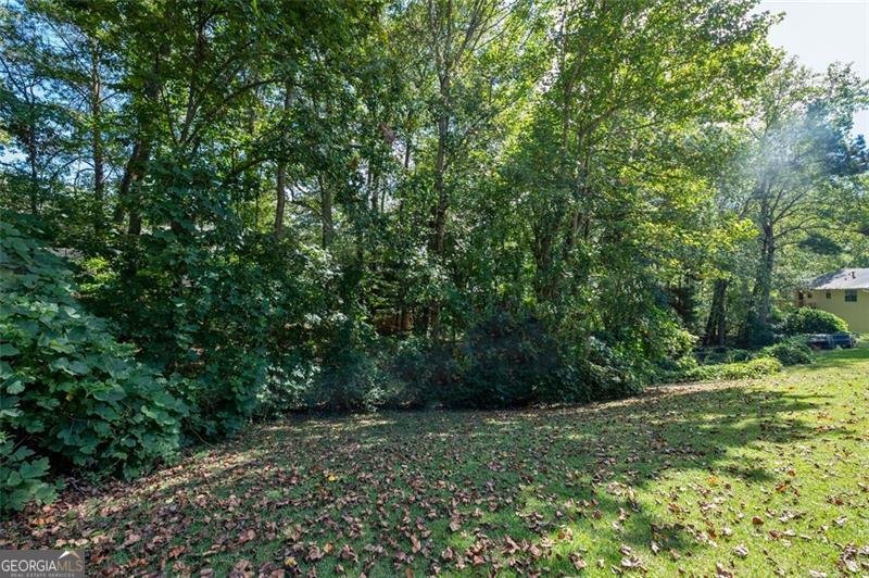 1535 OLDE OAK Drive Lithia Springs - 30