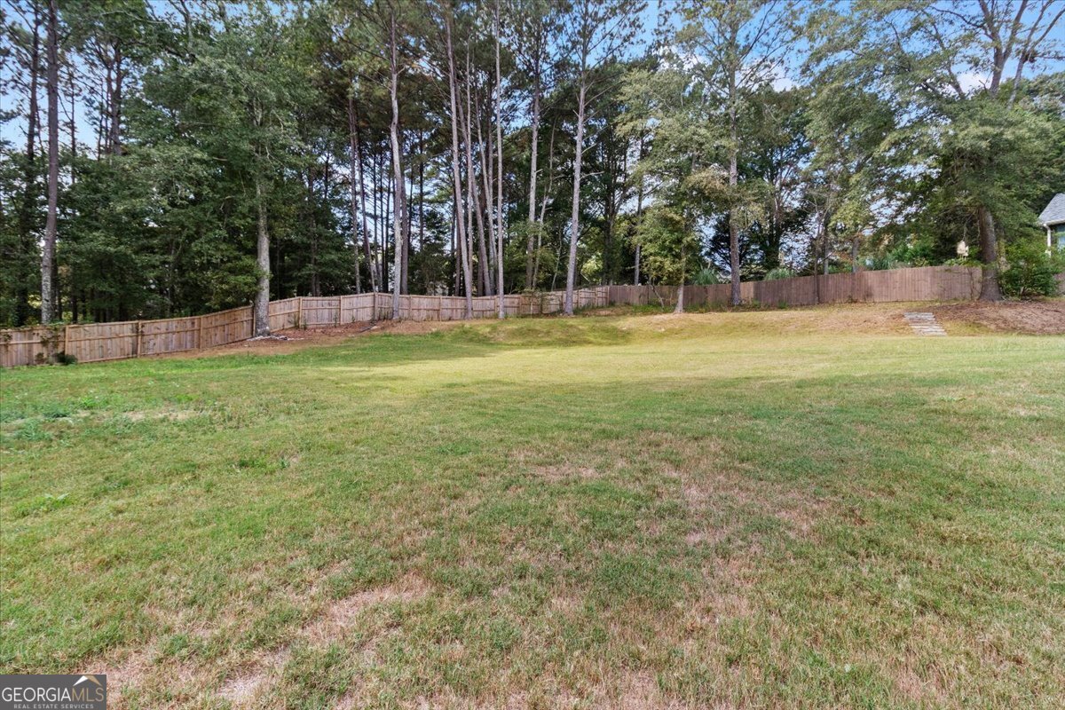 8104 Greens Mill Way Loganville - 38