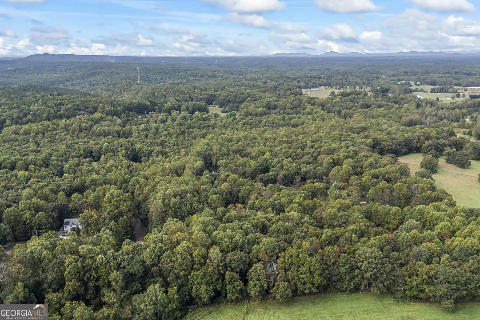 191 Shadow Walk Drive Mount Airy - 39