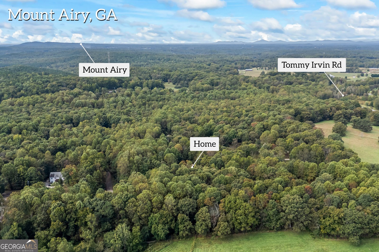191 Shadow Walk Drive Mount Airy - 40