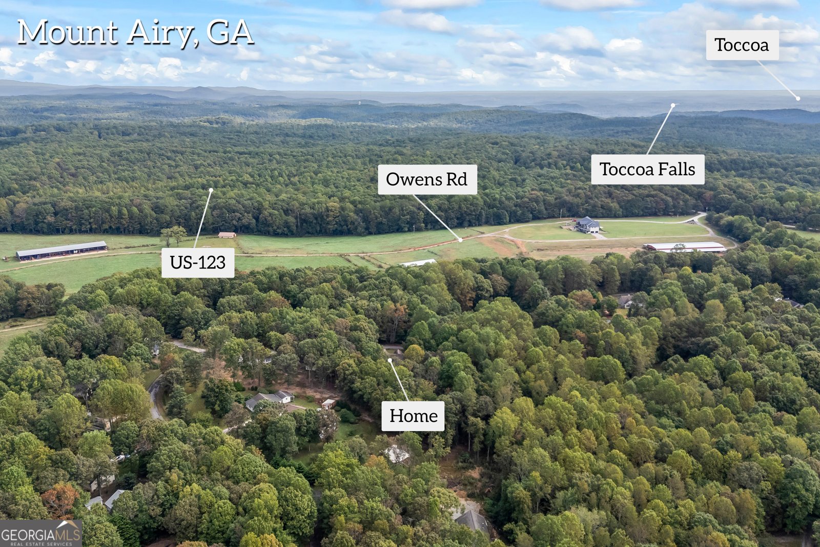 191 Shadow Walk Drive Mount Airy - 42