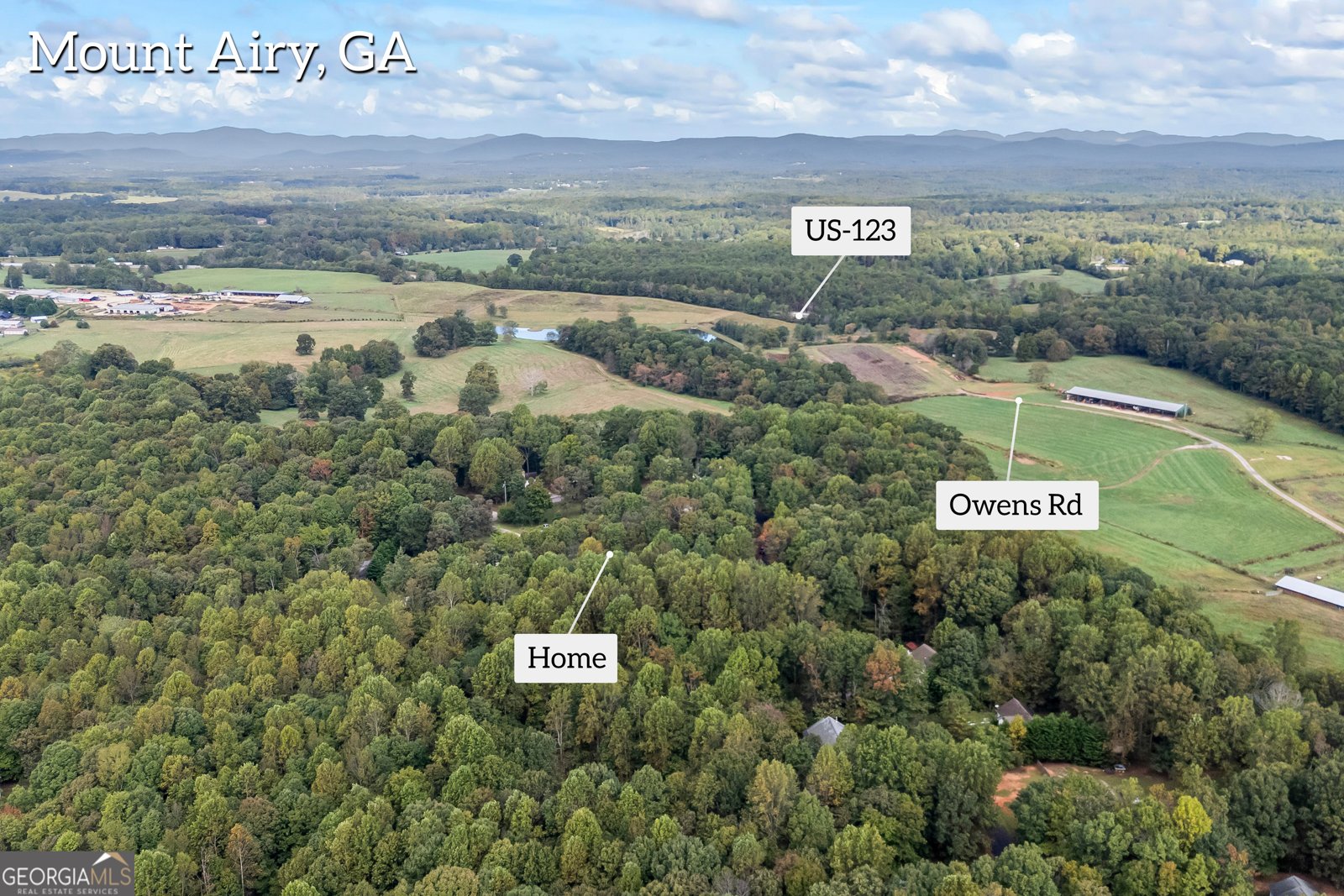 191 Shadow Walk Drive Mount Airy - 44