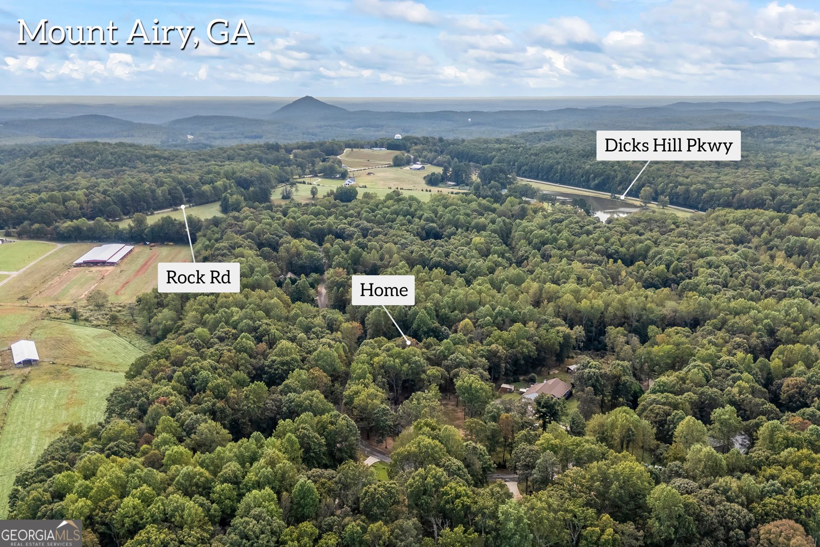 191 Shadow Walk Drive Mount Airy - 46