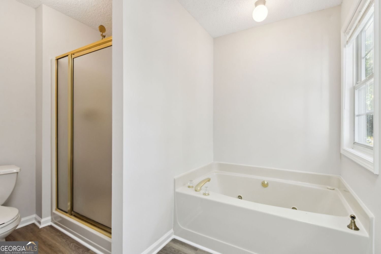 176 Creek View Drive Hoschton - 33