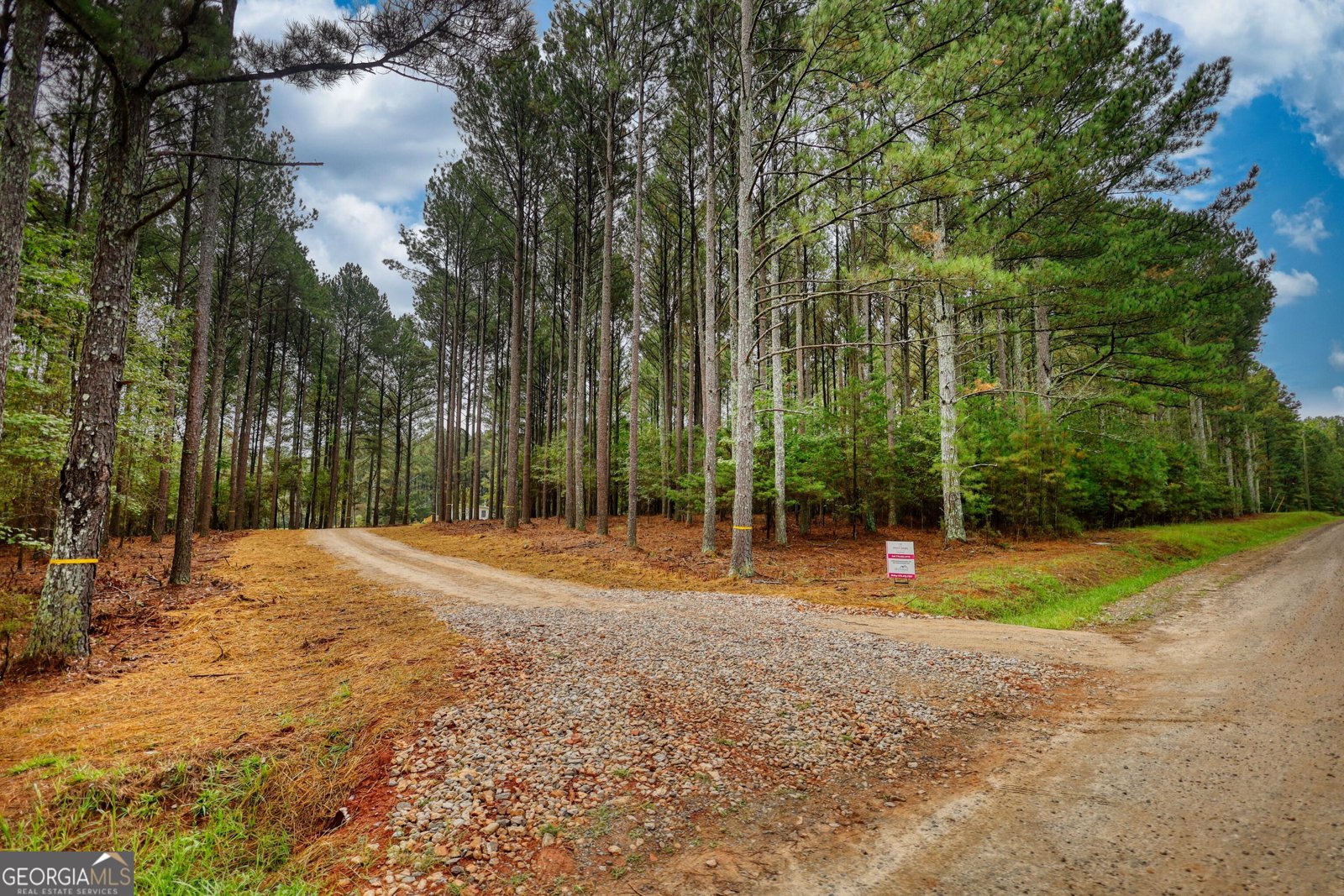 1310 Wallace Road Madison - 19