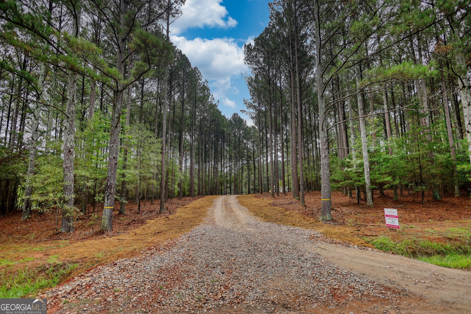 1310 Wallace Road Madison - 20