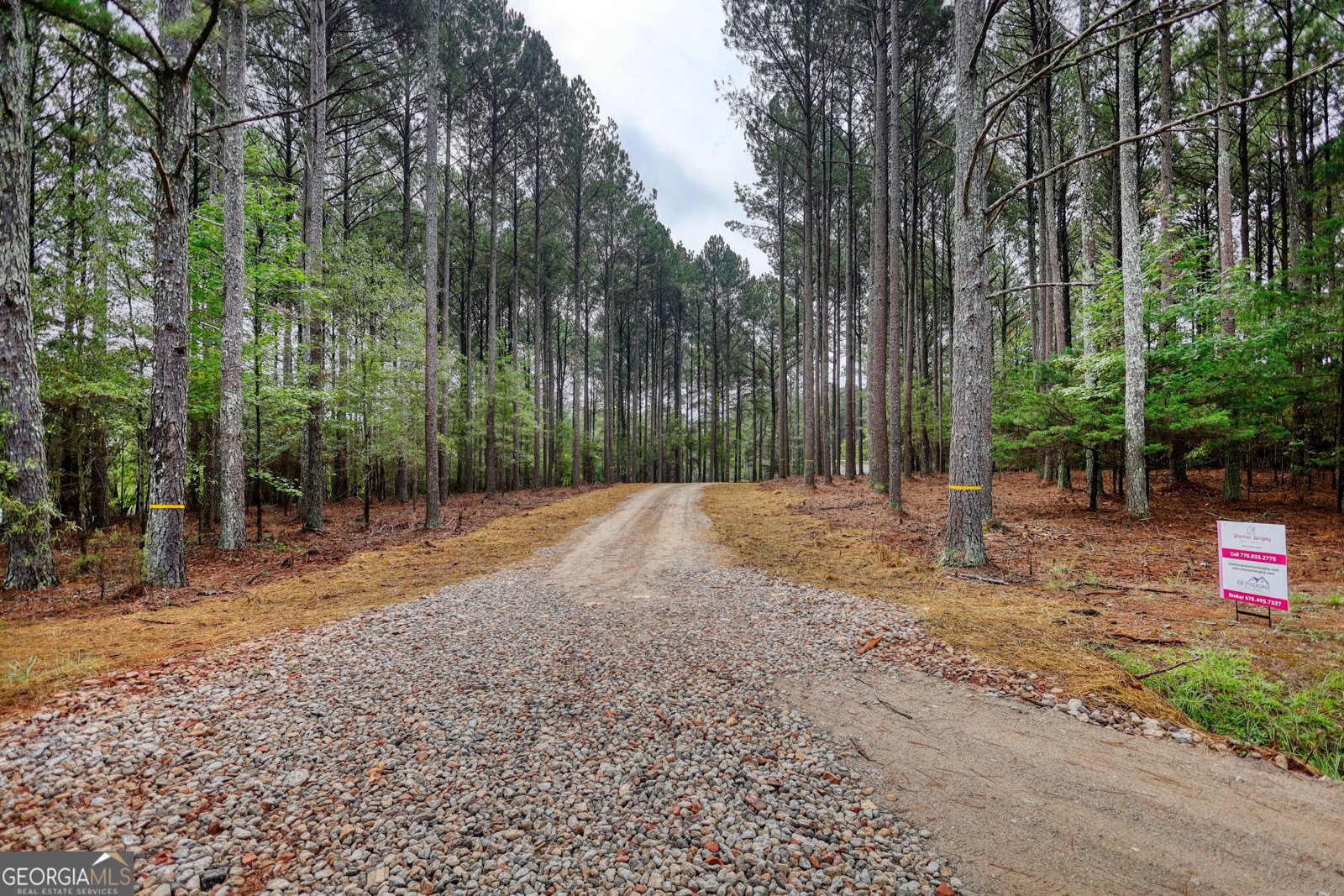 1310 Wallace Road Madison - 21