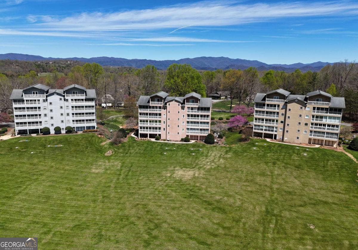 3112 Allison Court Young Harris - 38