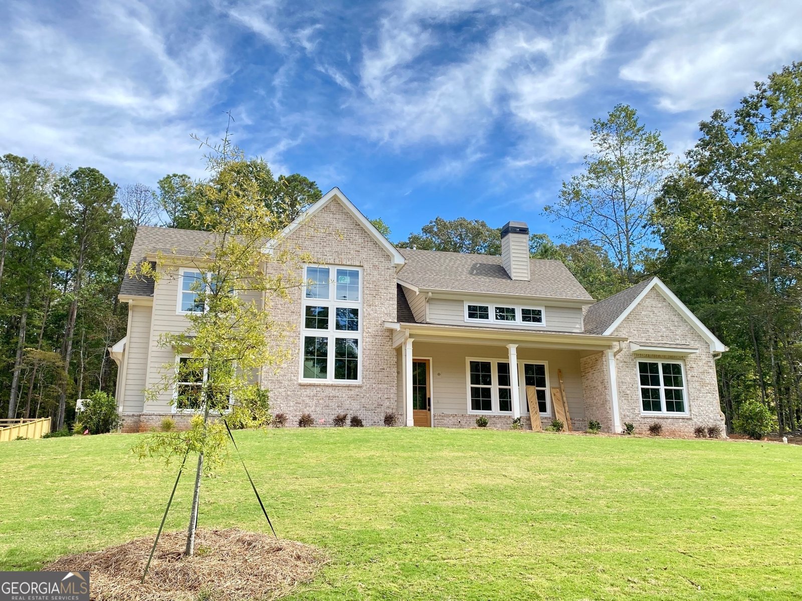 LOT 198 NORTHSHORE AT REDWINE Drive Newnan - 3