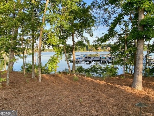 LOT 198 NORTHSHORE AT REDWINE Drive Newnan - 41