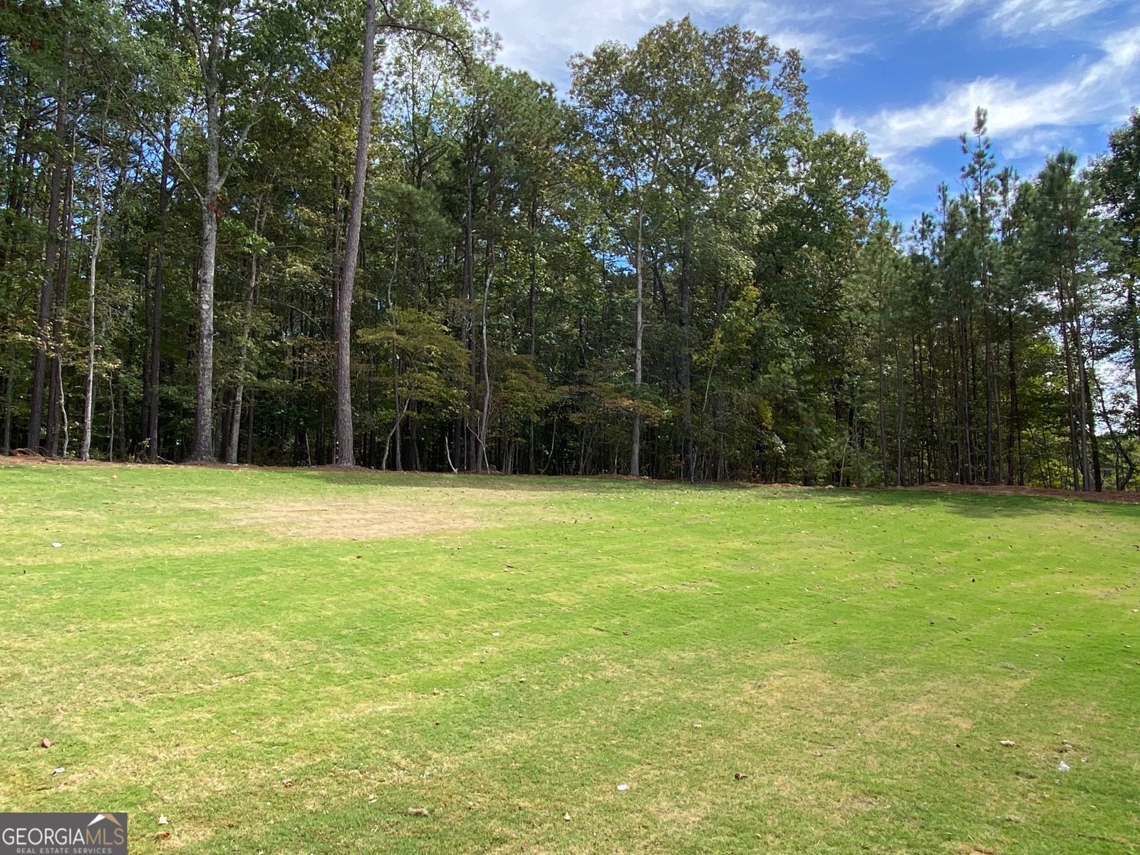 LOT 198 NORTHSHORE AT REDWINE Drive Newnan - 5