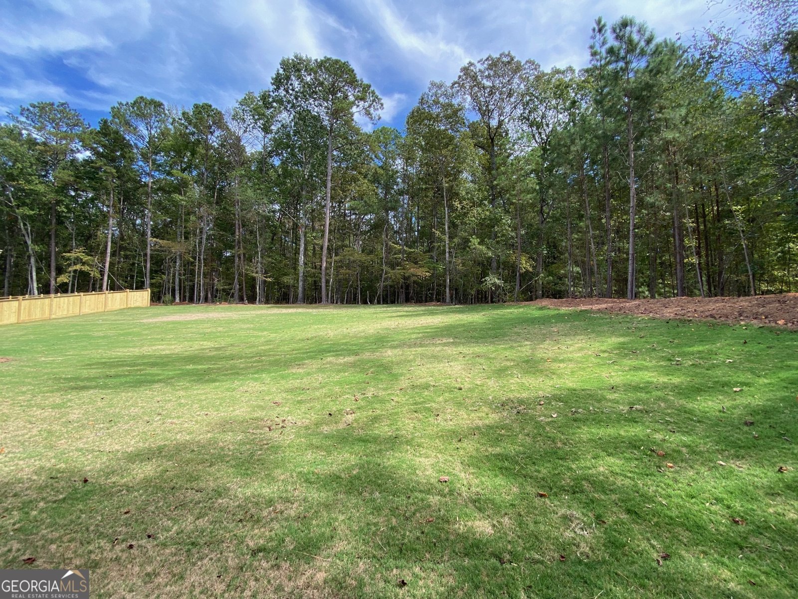 LOT 198 NORTHSHORE AT REDWINE Drive Newnan - 7