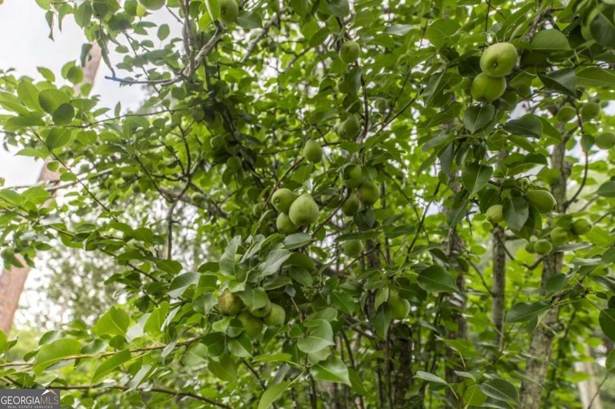 913 7th Avenue Albany - 39