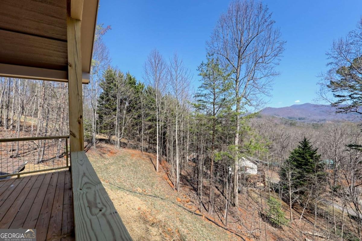 1378 Summit Trail Hiawassee - 42