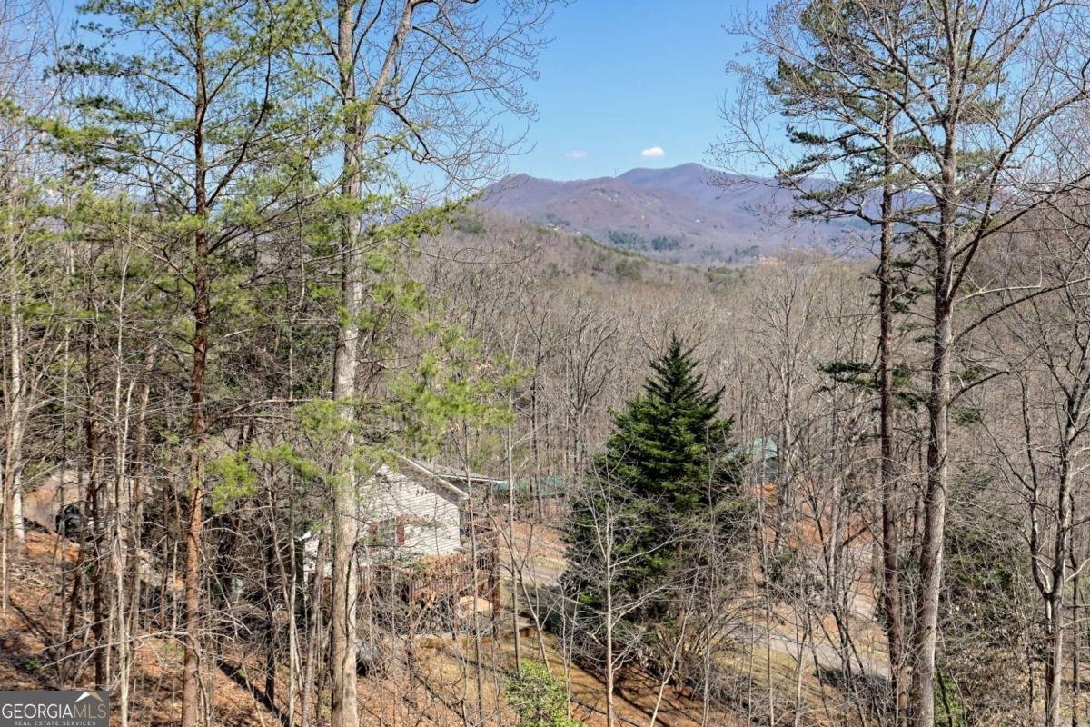 1378 Summit Trail Hiawassee - 43