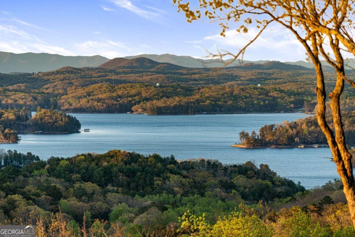 31 Ripshin Heights Blue Ridge - 3