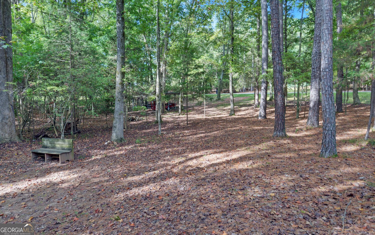 396 Greenleaf Drive Lavonia - 63
