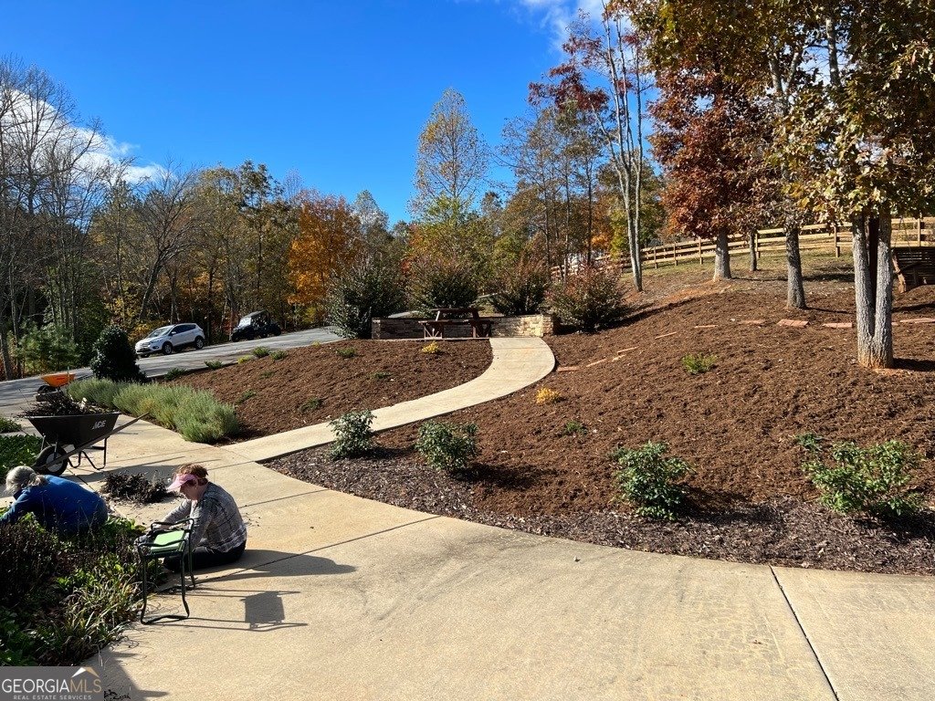 491 Sandy Lake Lane Blairsville - 45