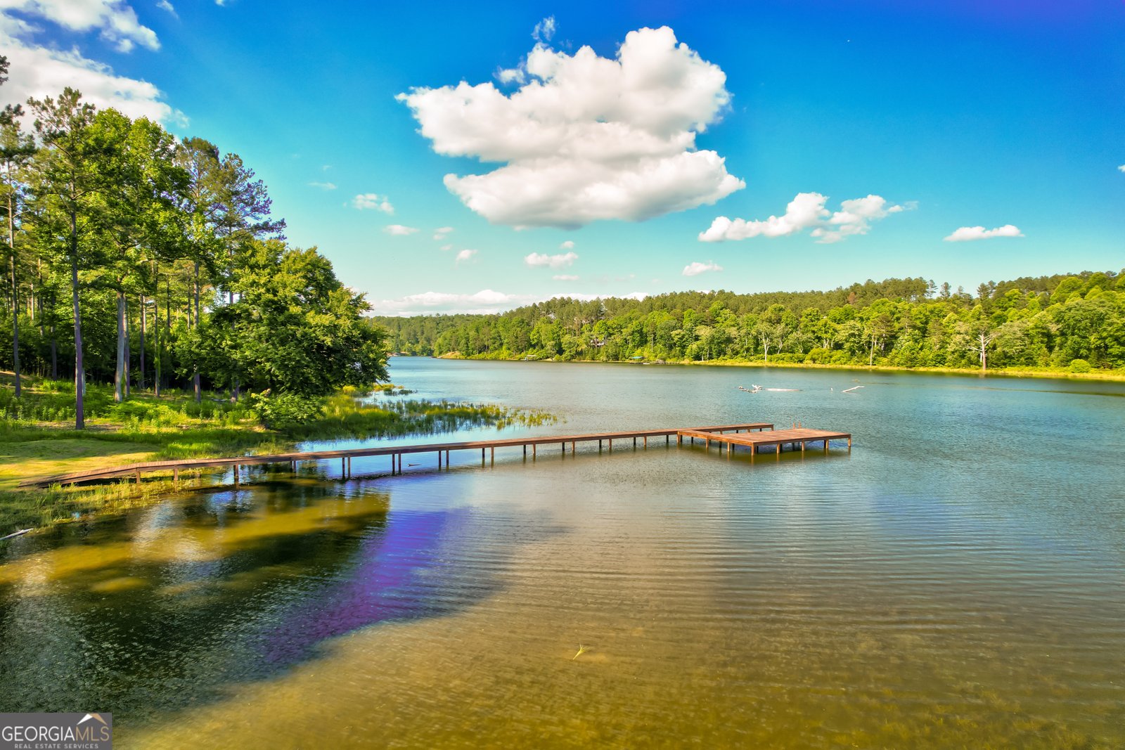 491 Sandy Lake Lane Blairsville - 48