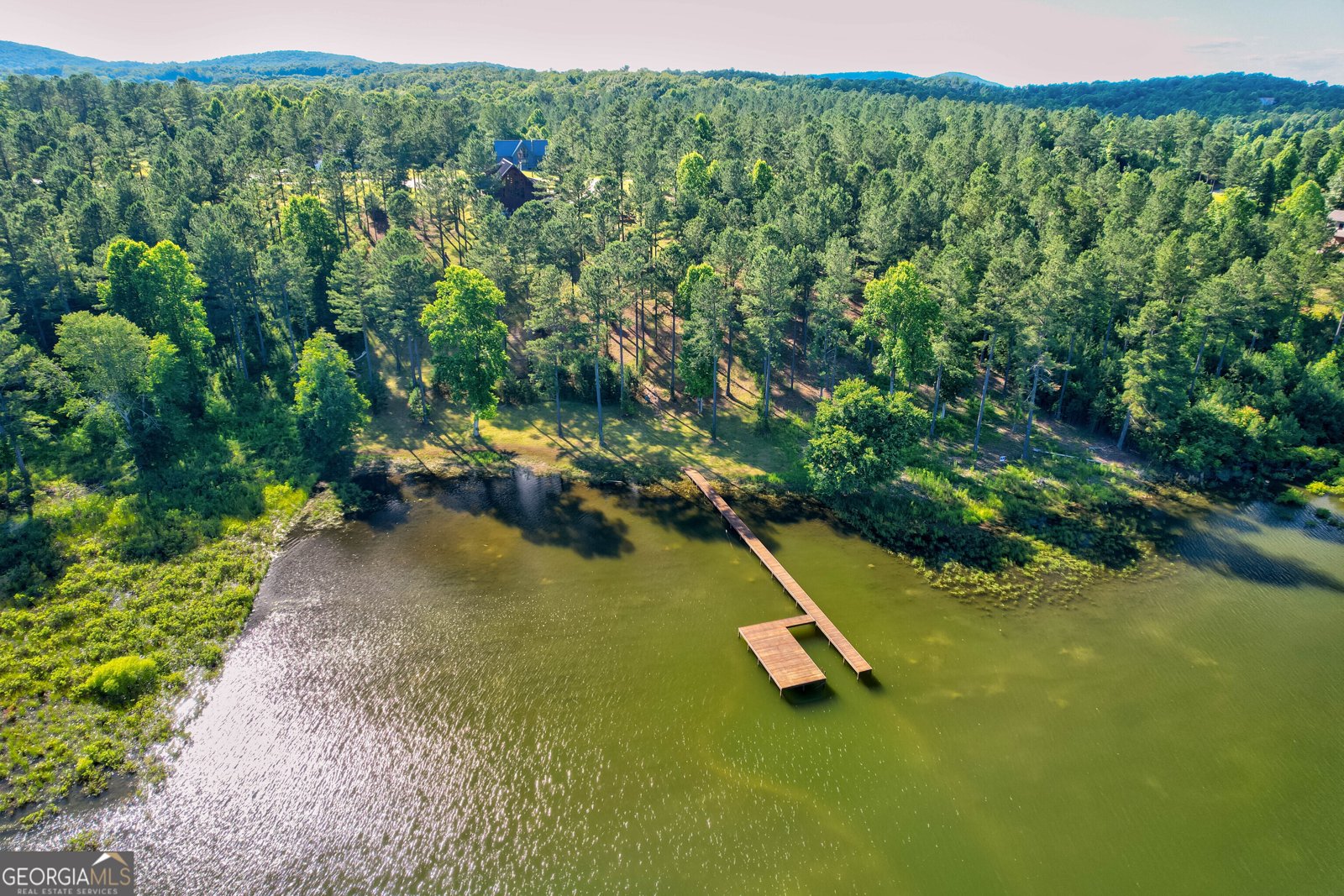 491 Sandy Lake Lane Blairsville - 50