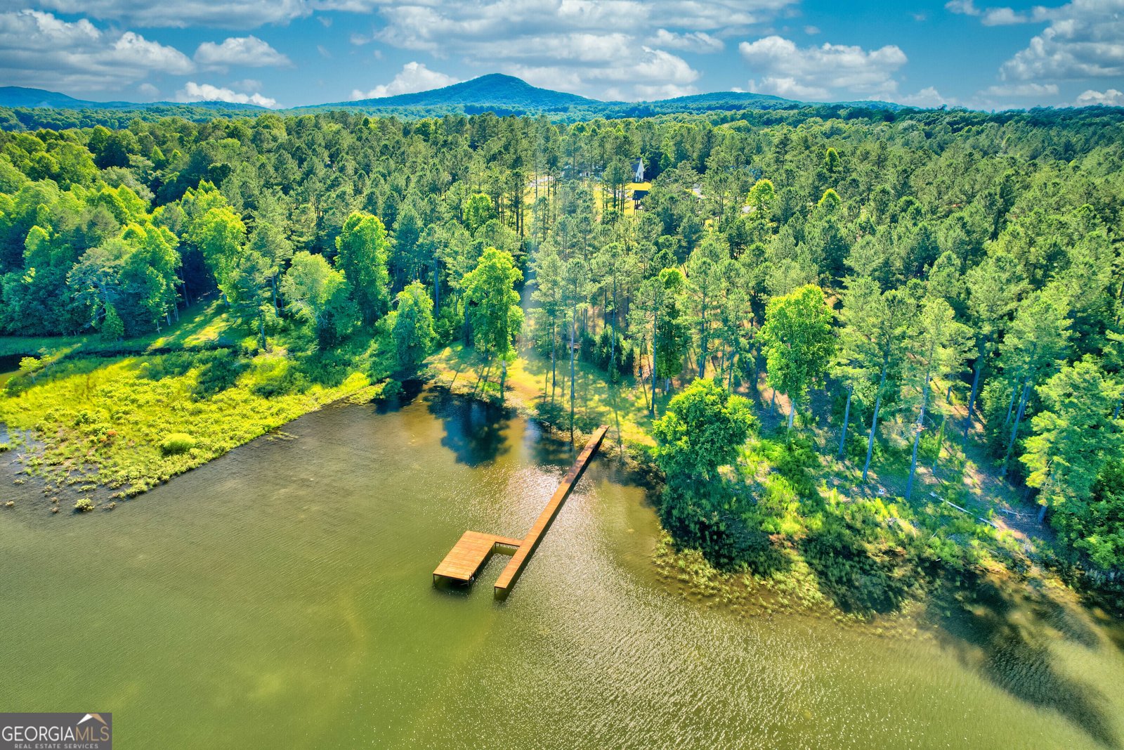 491 Sandy Lake Lane Blairsville - 51