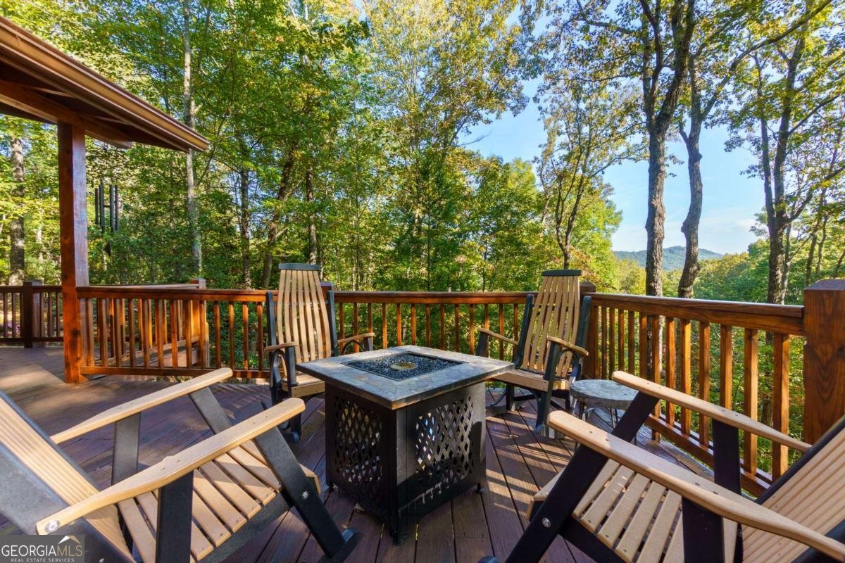 24 Casey Court Blue Ridge - 27